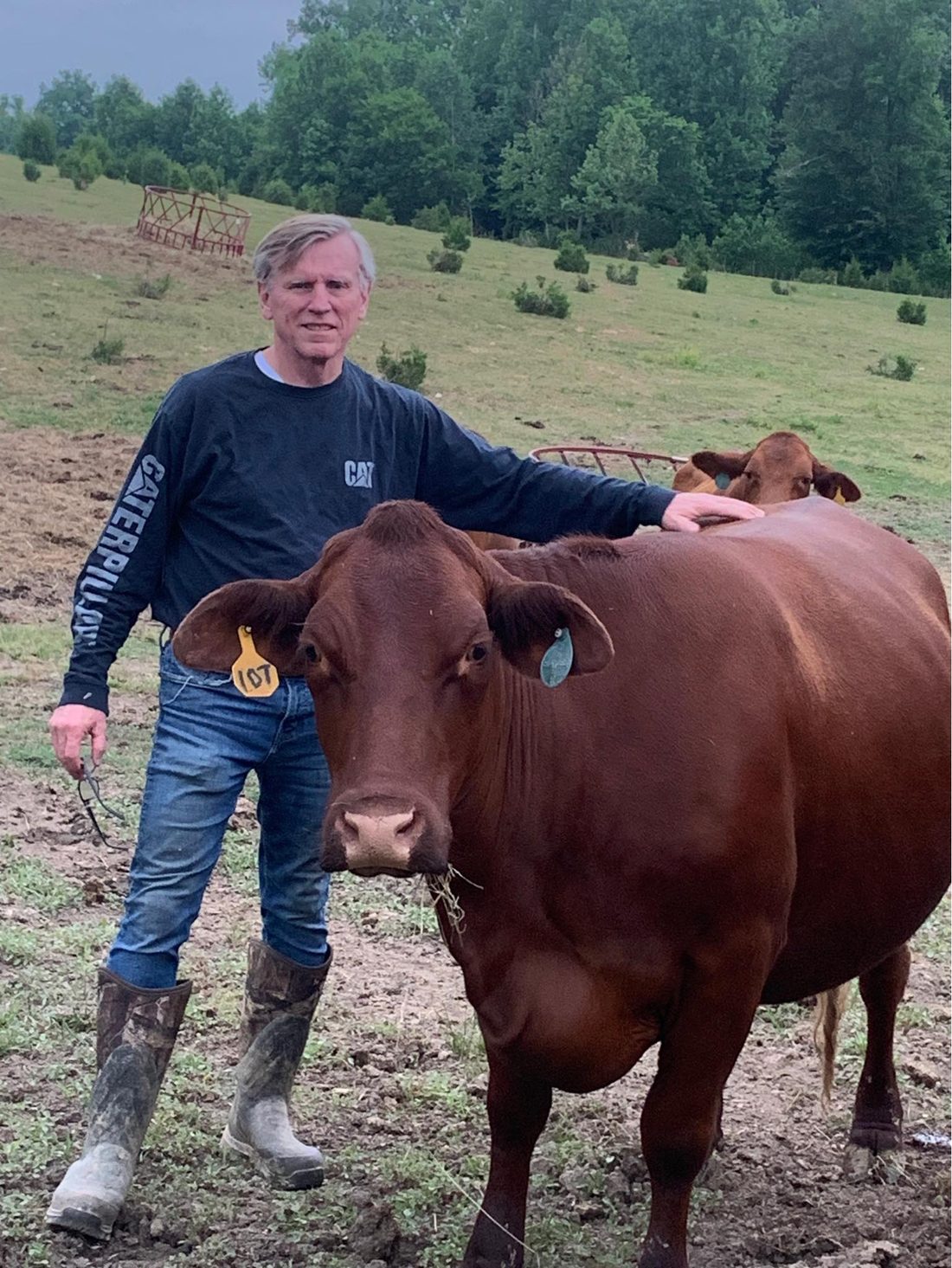 Kevin Crutchfield with one of the farm's Santa Gertrudis cattle